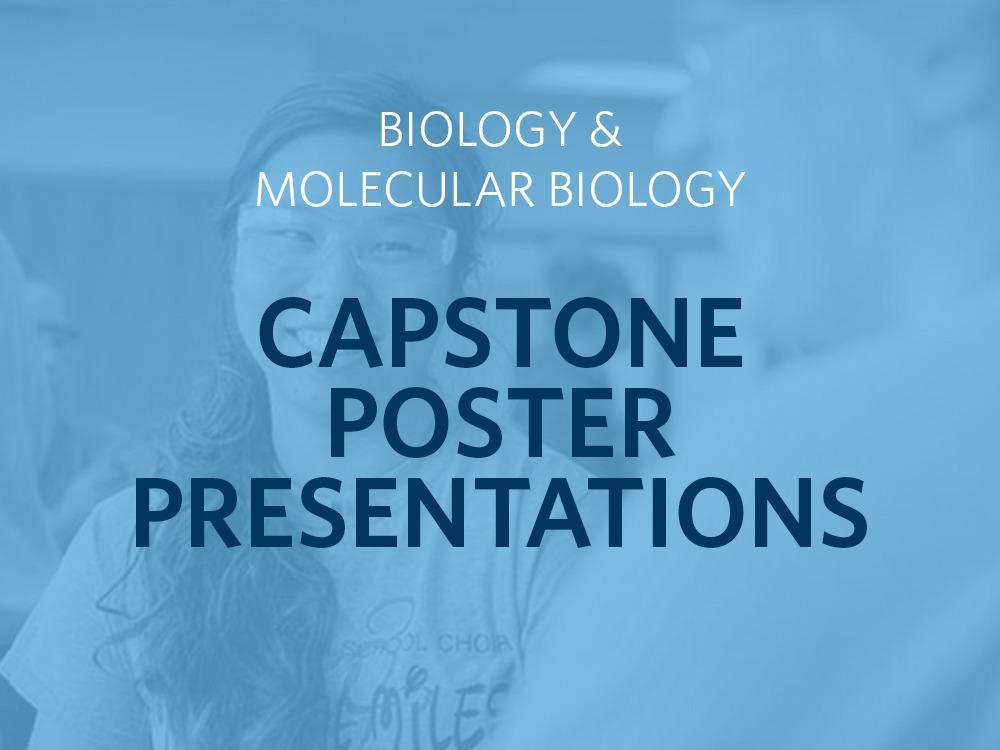 Biology, microbiology majors present capstone research \ Westminster